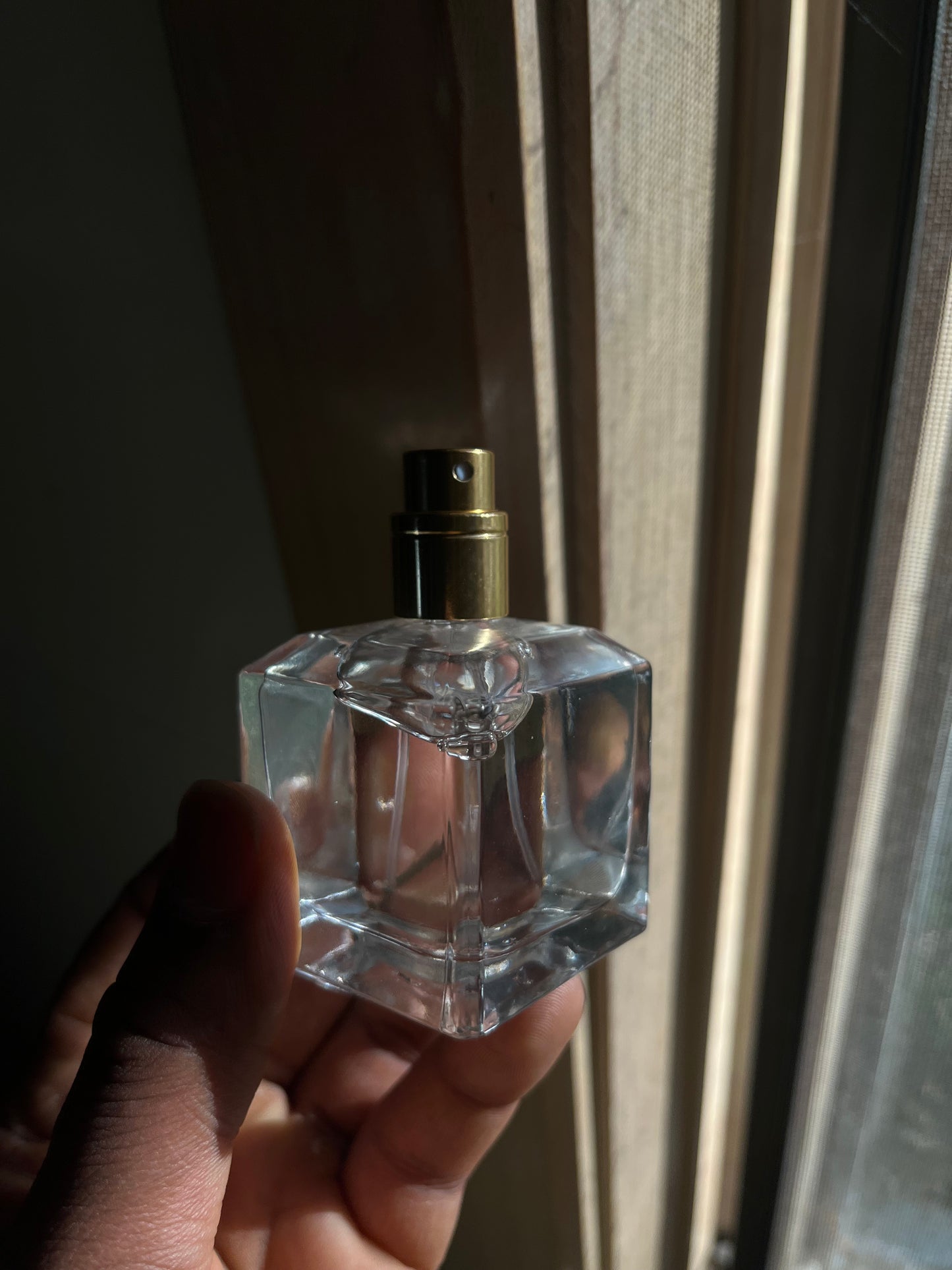 Absolutely Parfum Unisex Perfume (50ml)