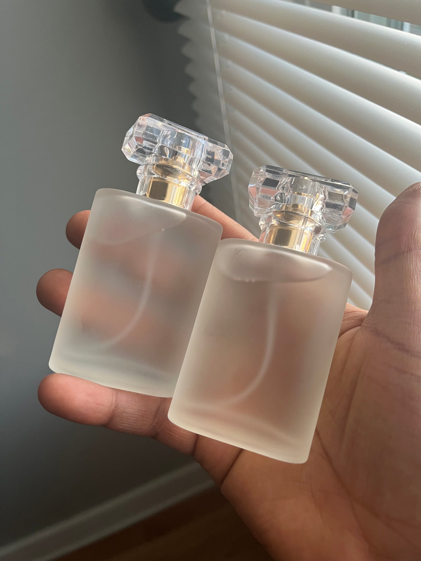 Absolutely Parfum Unisex Perfume (50ml)