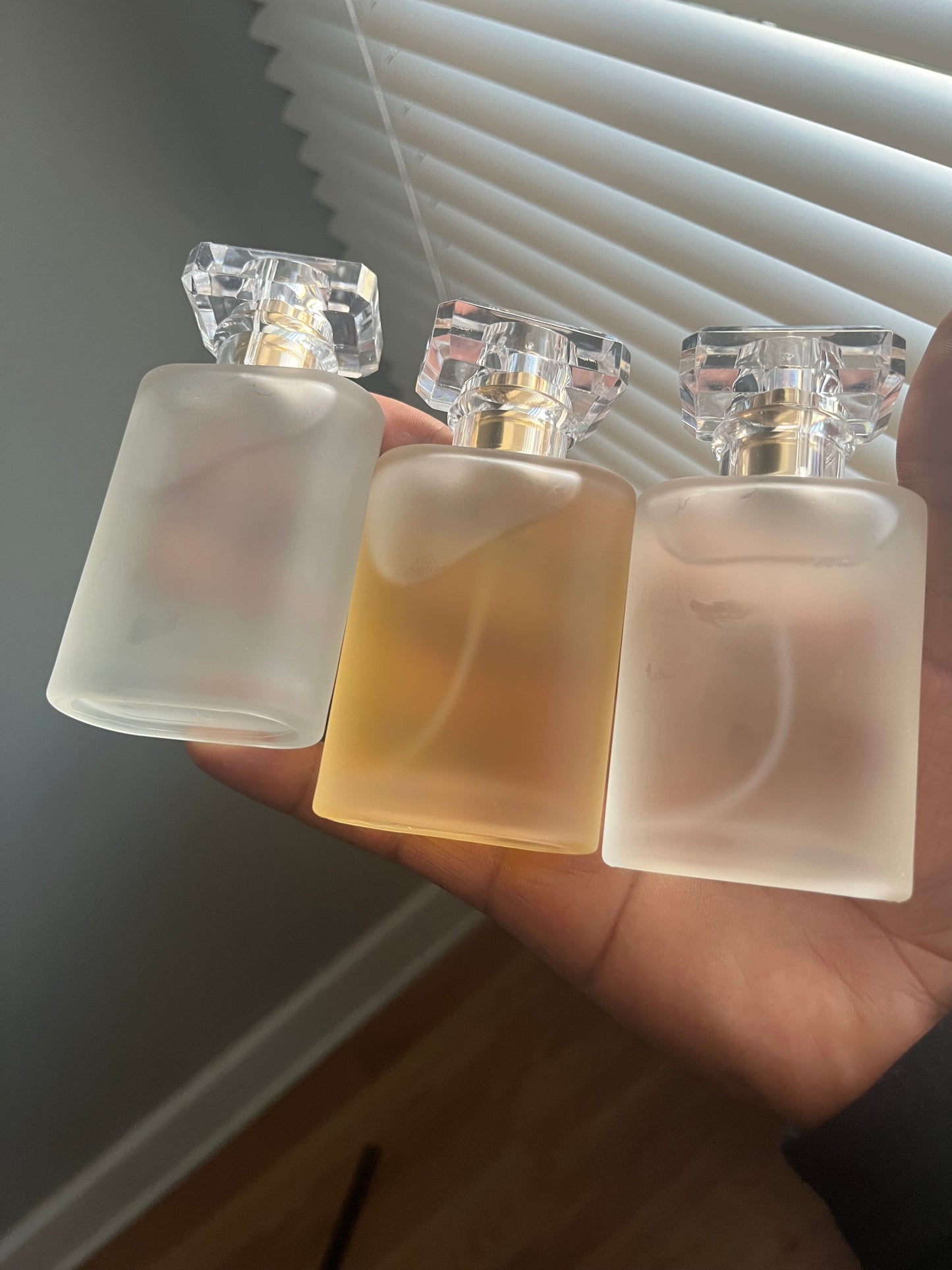 Absolutely Parfum Unisex Perfume (50ml)