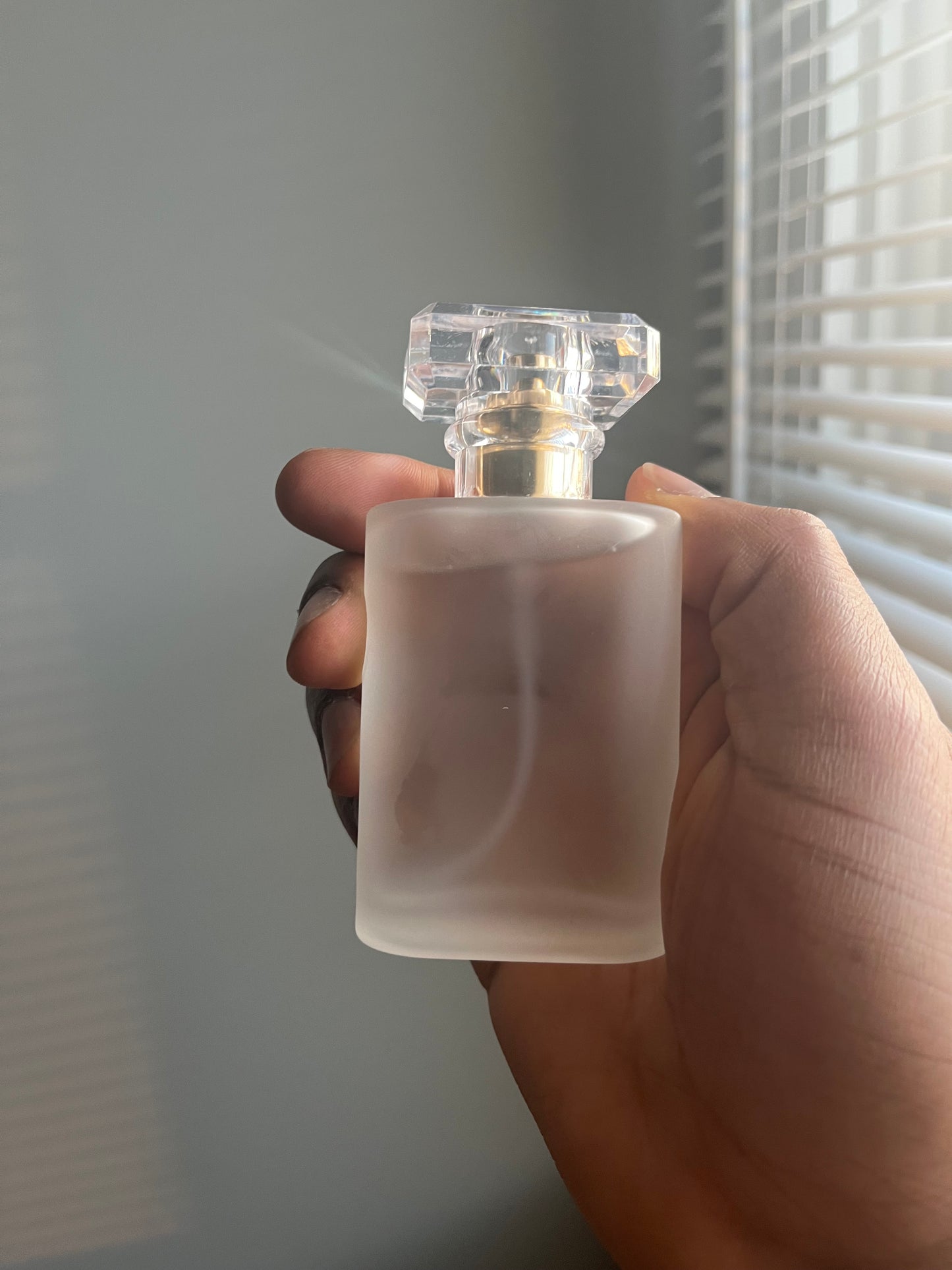 Absolutely Parfum Unisex Perfume (50ml)